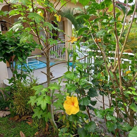Joyaux De Tivoli Villa Fort-de-France Ngoại thất bức ảnh