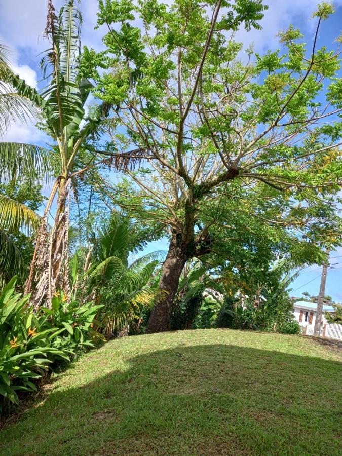 Joyaux De Tivoli Villa Fort-de-France Ngoại thất bức ảnh