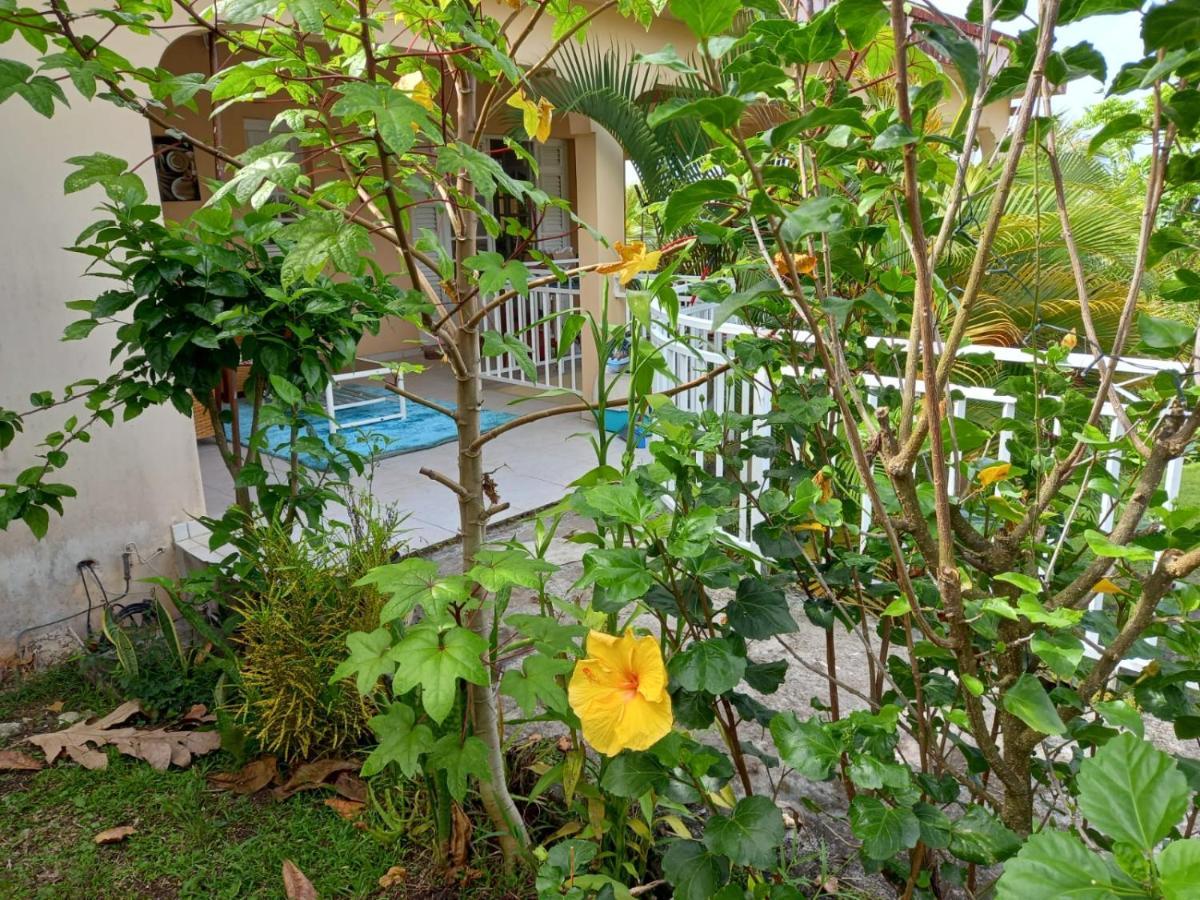 Joyaux De Tivoli Villa Fort-de-France Ngoại thất bức ảnh