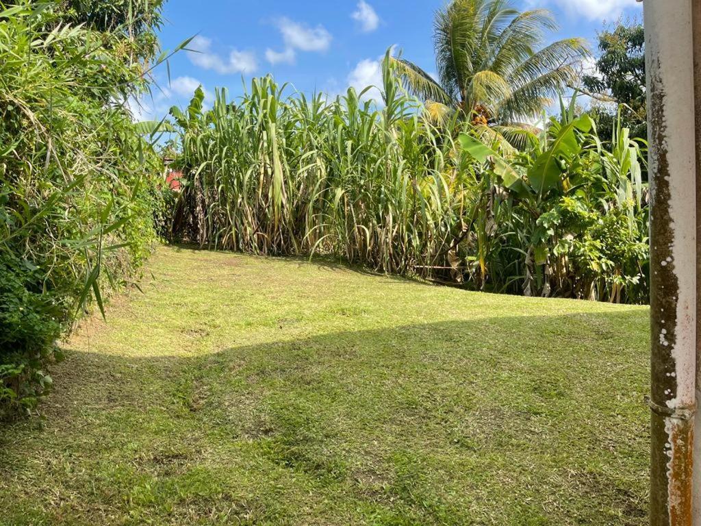 Joyaux De Tivoli Villa Fort-de-France Ngoại thất bức ảnh
