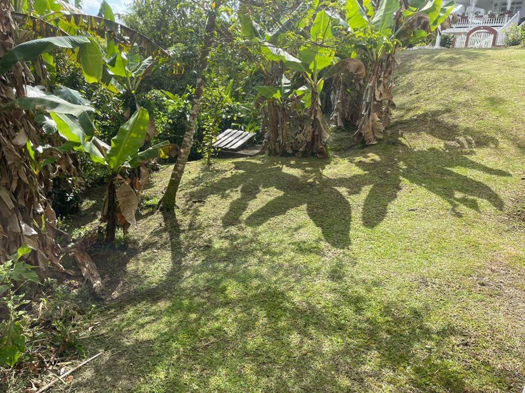 Joyaux De Tivoli Villa Fort-de-France Ngoại thất bức ảnh